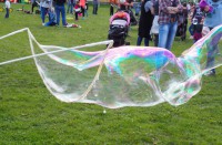 /album/a131/p1010166-small-jpg10/